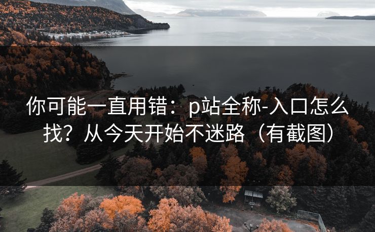 你可能一直用错：p站全称-入口怎么找？从今天开始不迷路（有截图）